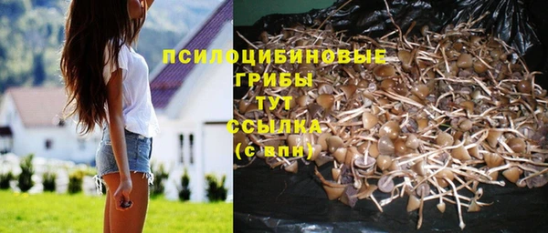 герыч Горнозаводск
