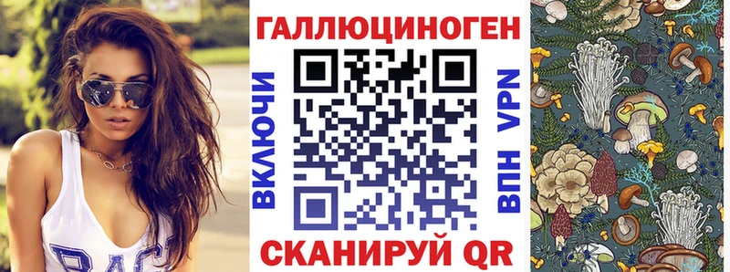 Купить где  Бокситогорск  Галлюциногенные грибы GOLDEN TEACHER 