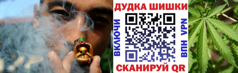 Конопля планчик  Купить закладки  Бокситогорск 
